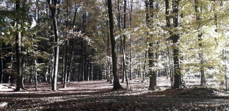 Penzion Slunovrat Běstvina Exterior foto